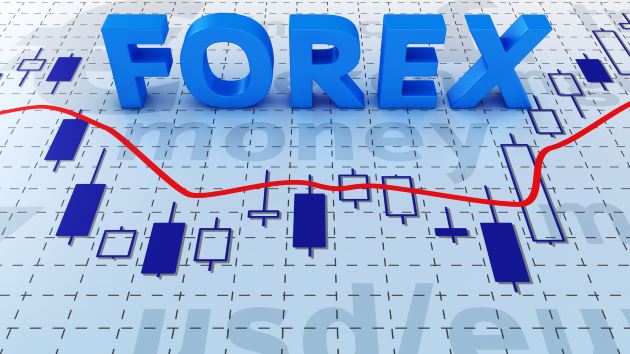 Forex market basics: how the currency market works and what beginners need to know